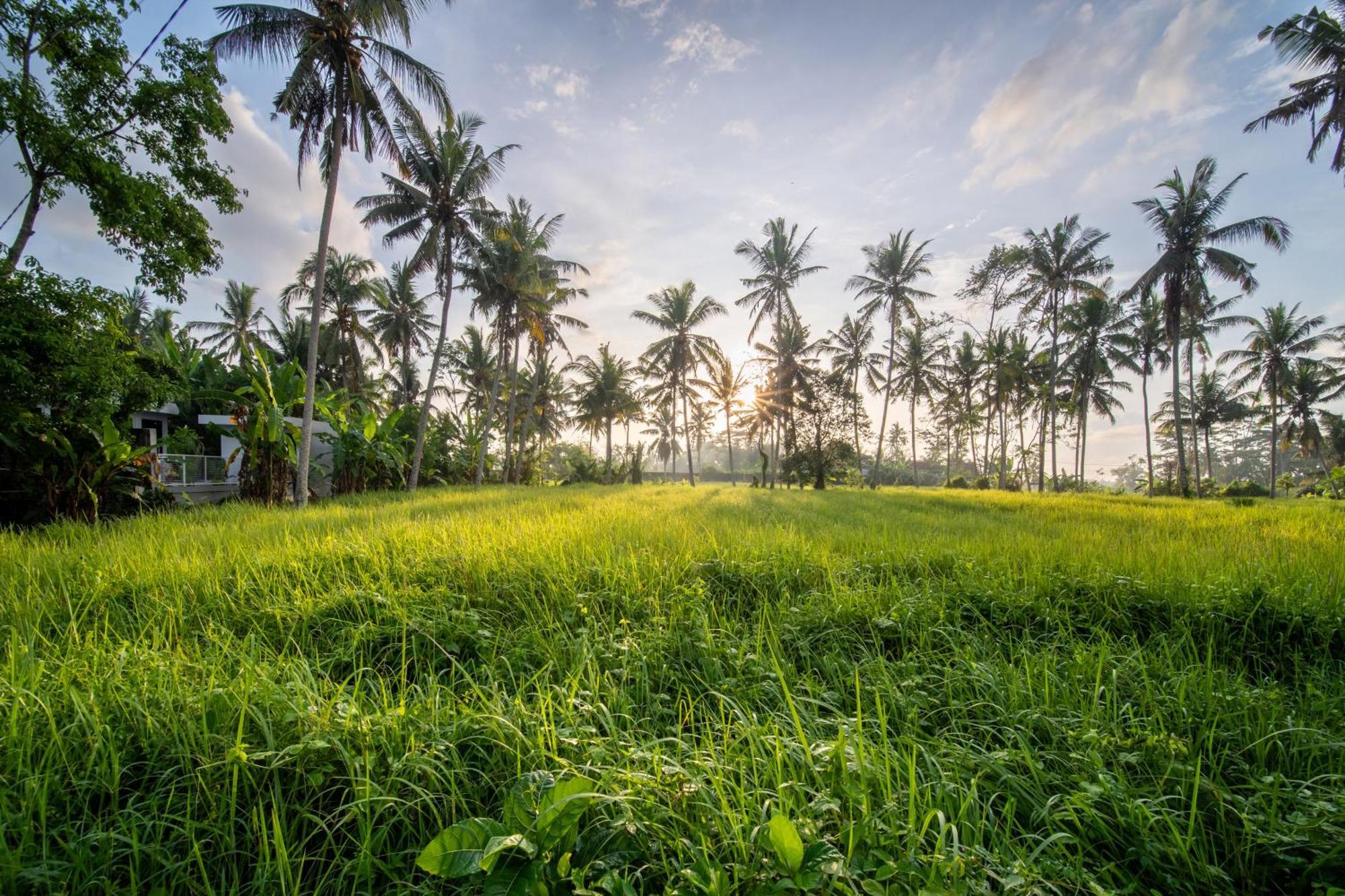 Casa Estrella - Luxe In Ubud Luaran gambar